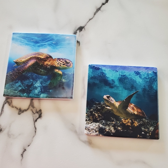 Sea Turtles 2 Pack Sandstone Coasters - Picture 8 of 8